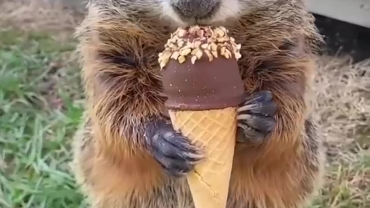 Summer is coming 👍