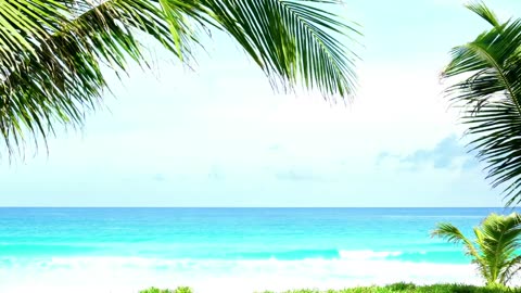 sea relax meditation | calm your mind #sea #calm #meditation #relax