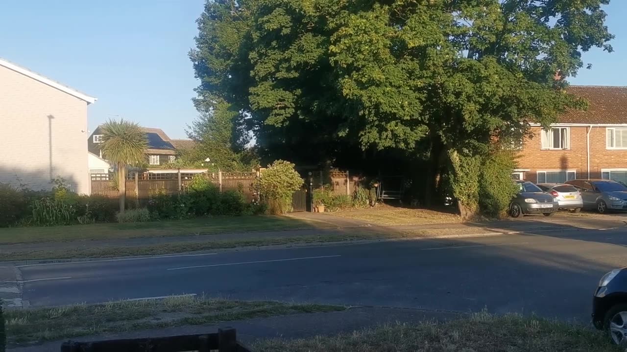 No Sandringham Serial Killer Black Wizard Terrorist Diss Shooter Here Google Johnny Botwright 5