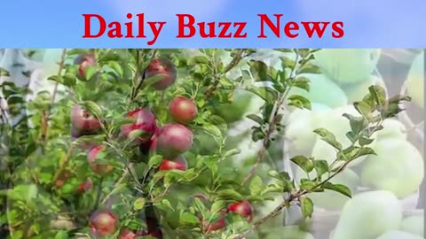 R1 Billion Lost as Cape Town Port Delays Hit Fruit Exports
