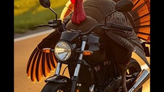 Escaping Gobble-Geddon! 😎🦃