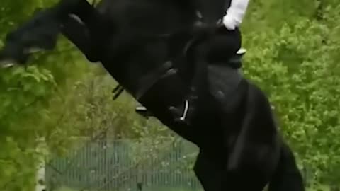 🔥 Top Videos You Have to See to Believe 💯