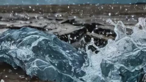 The Day the Flood Began | 40 Days and 40 Nights