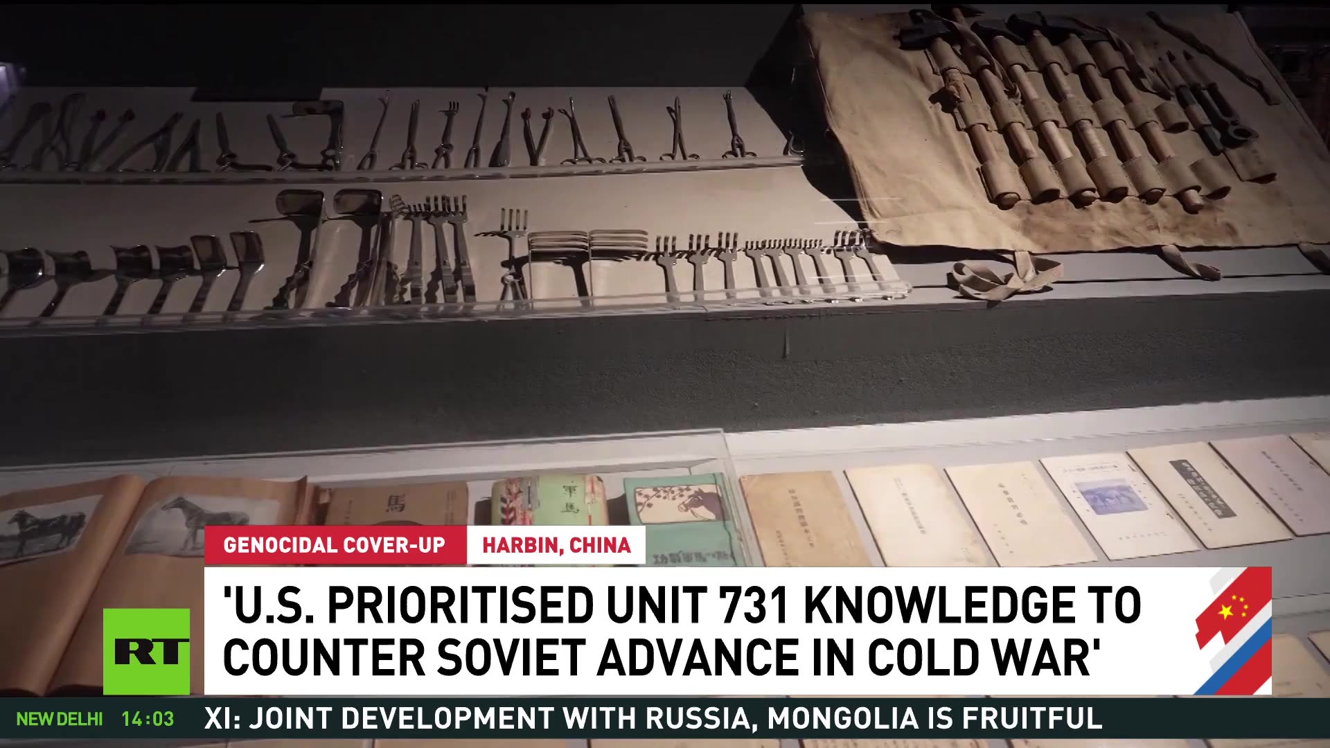 There’s really no difference between Unit 731 and Auschwitz — Jenny Chan