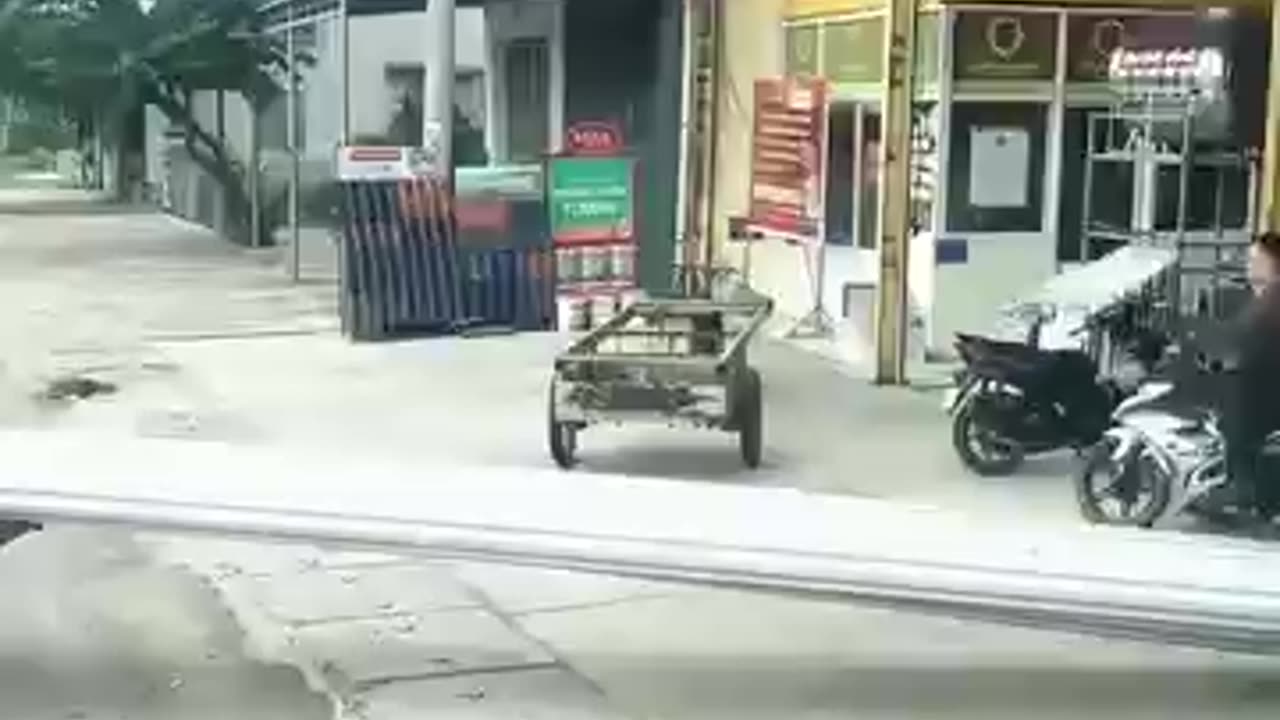 Why Do People Risk Overloading Bikes? 🚲💥