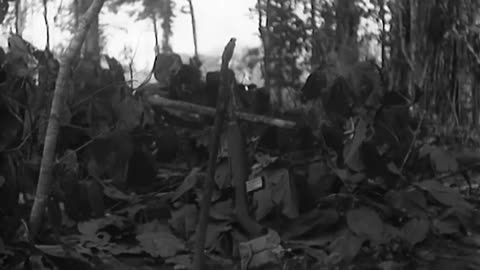 AITAPE OPERATION, N... - AITAPE OPERATION, NORTHEAST NEW GUINEA ; PRE-INVASION, TOEM, - 111-adc-3588