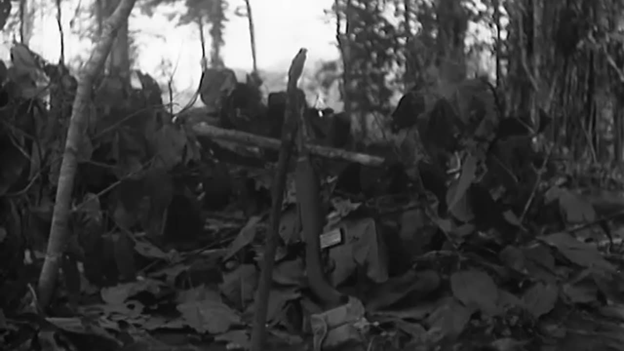 AITAPE OPERATION, N... - AITAPE OPERATION, NORTHEAST NEW GUINEA ; PRE-INVASION, TOEM, - 111-adc-3588