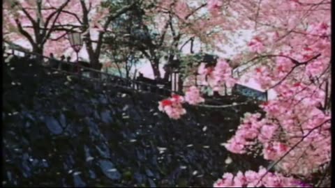 WW2 IN COLOUR THE JAPANESE STORY FATE IN VICTORY