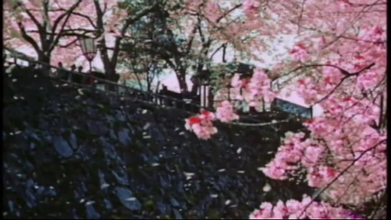 WW2 IN COLOUR THE JAPANESE STORY FATE IN VICTORY