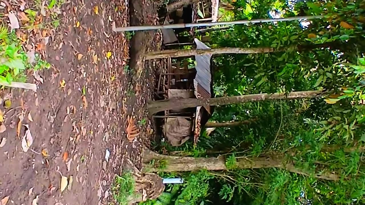 How to make very easy Slingshot!🏹🎯 Balikan ang Nakaraan mga Batang 80's & 90's lang ang may alam.🧐