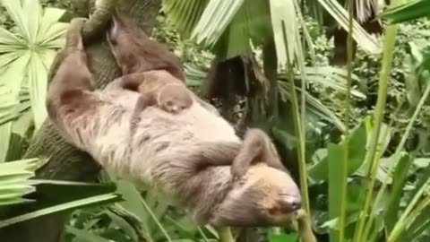 Sleeping