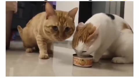 Sharing is caring