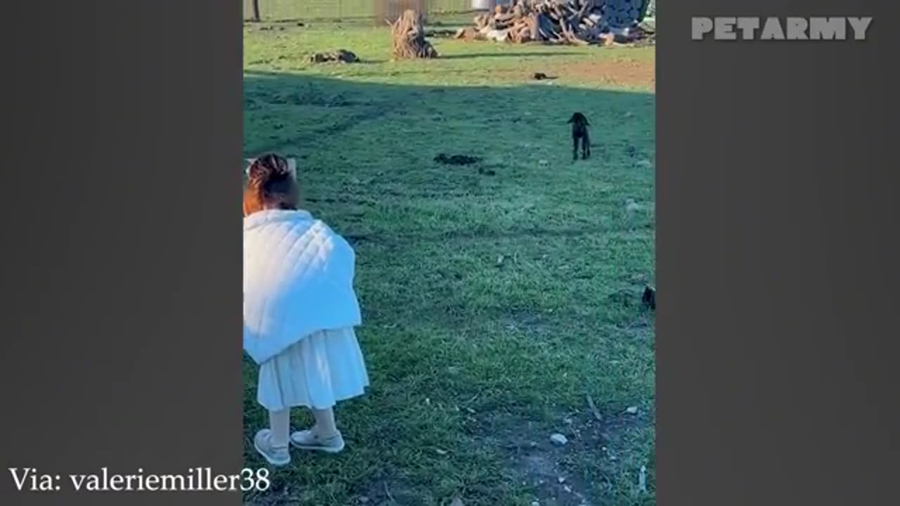Adorable Babies Meeting Animals for the First Time 🥰🐶🐱