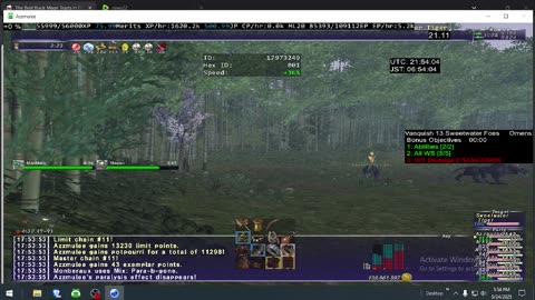 Playing Final Fantasy XI Online