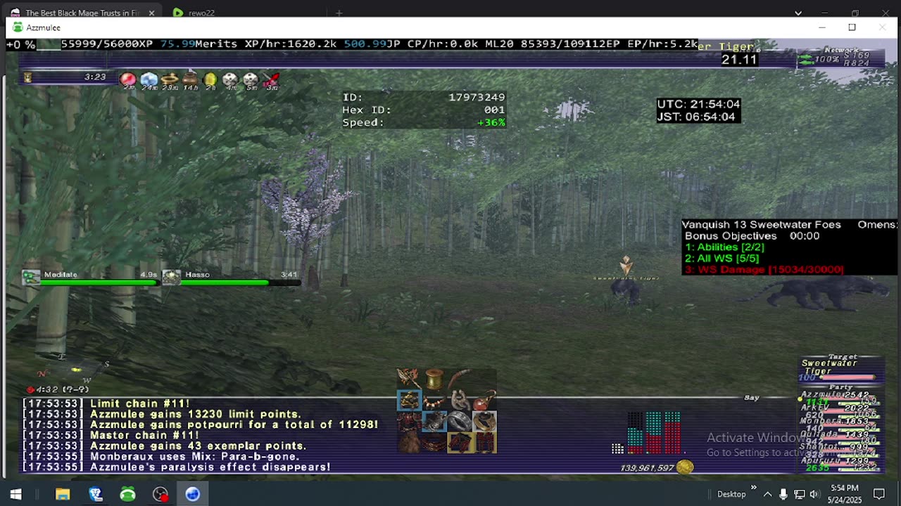 Playing Final Fantasy XI Online