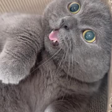 “Hahaha! This Look Is Just Too Funny 😂🔥”