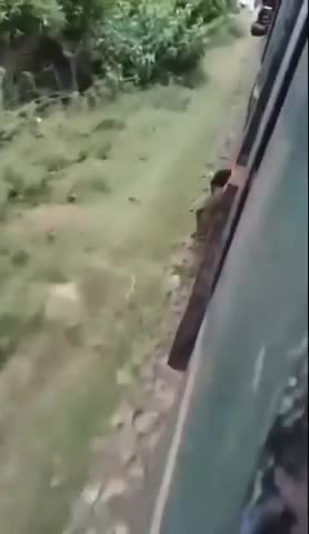 pajeets are as dumb as niggers