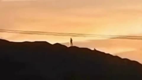 Giant Spotted on a Mountain Top in Mexico! #shorts