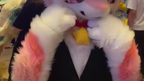 Furry cute #4