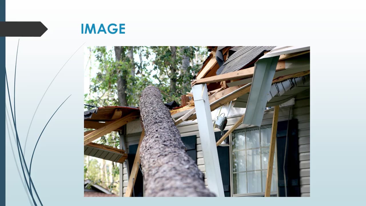 Best Storm Damage Restoration in Forest City