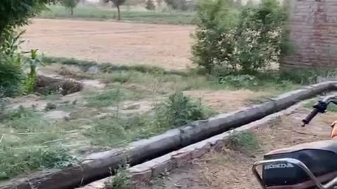 My village