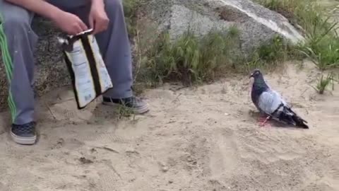 The anamorphic art