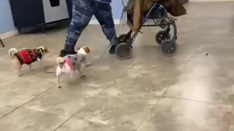 Funny