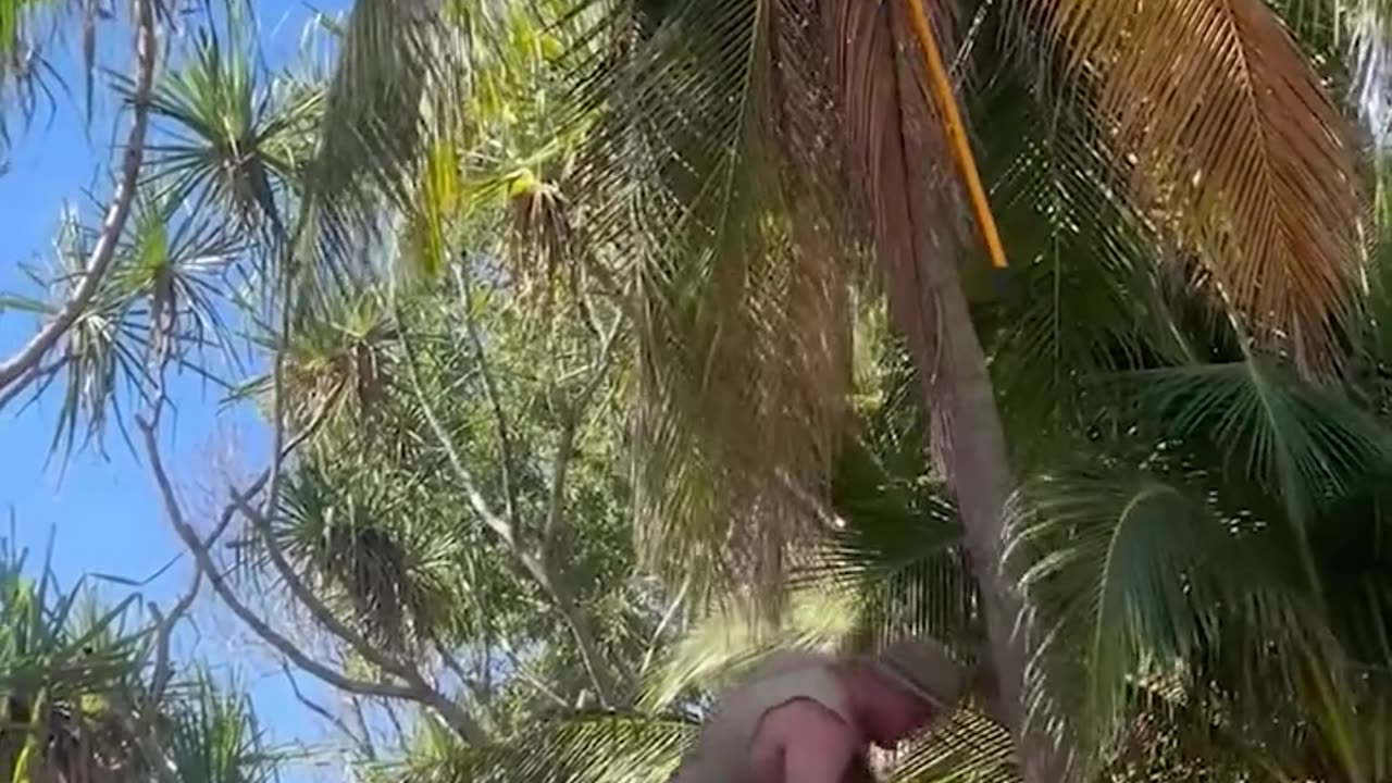 Funny video