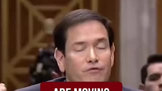 Can you spot the difference?