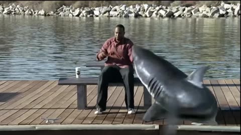 😂🐟 Who Stuck a Shark In Nicorette? | Nicorette Shark Fail | FunFM