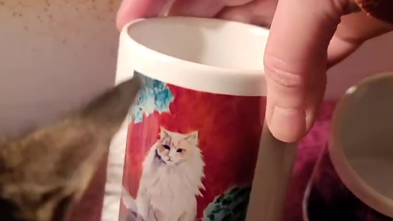 Cups with my artwork