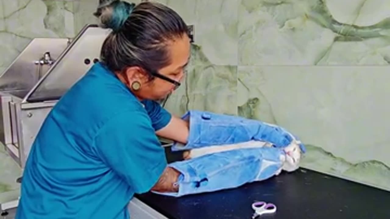 AGGRESSIVE CAT! TRIES TO EAT ME UP! 🙀