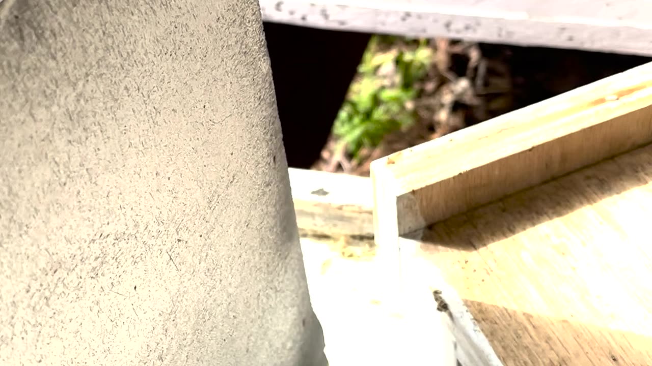Releasing the Queen