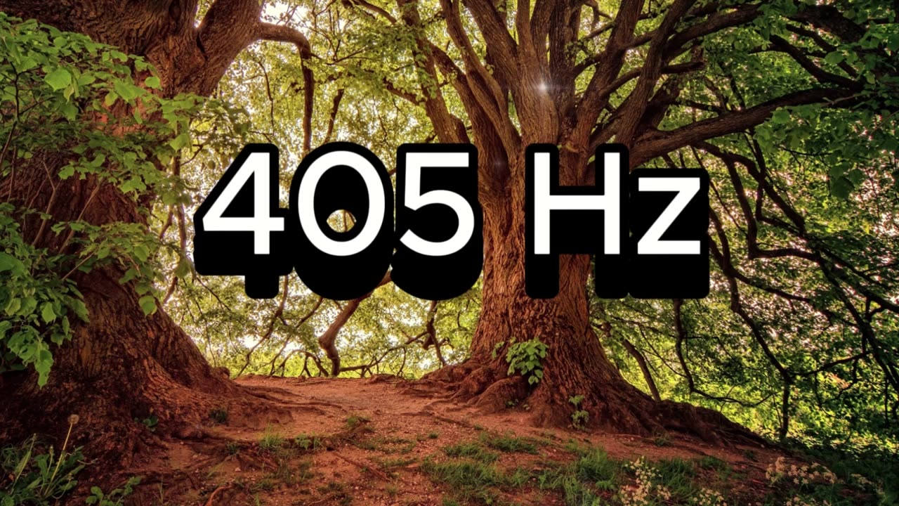 405 Hz Forest Meditation 🍃