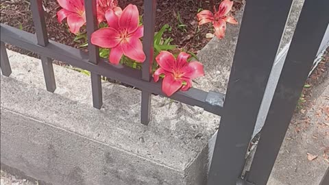 Spring colors