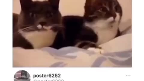 ❤❤❤
