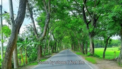 RISE AGAIN Song
