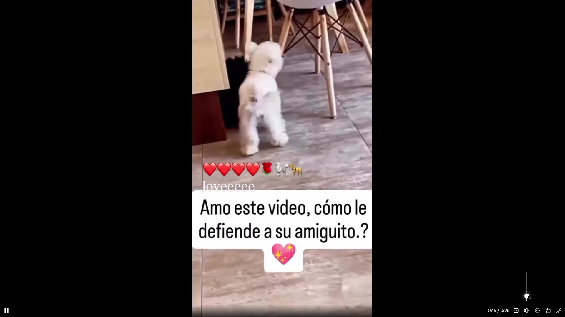 Is this not the cutest defender. Sticks by his little friend