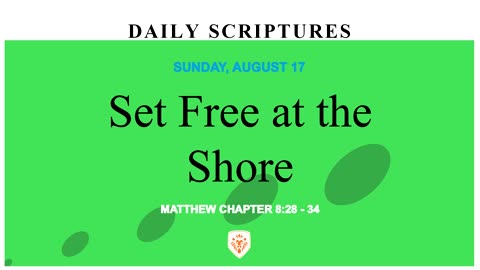 Set Free at the Shore