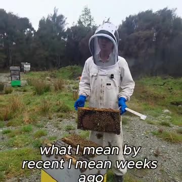 New Zealand Beekeepers Ordered to Burn Healthy Hives