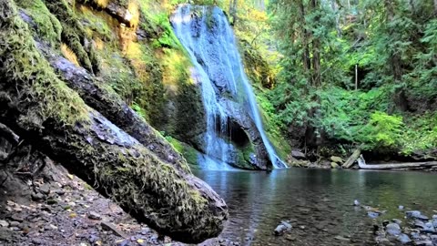 🌿 Distant Waterfall Sound 🌊| Short #WaterfallSounds #RelaxingNature #DistantWaterfall #SleepAmbience