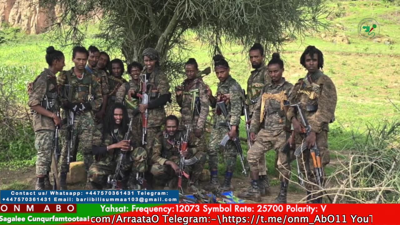 Gabaasa Tarkaanfii ONM-ABO Adoolessa 20-2025 itti dhiyaadhaa!