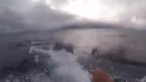 U.S. Coast Guard carries out record-breaking interception in the United States, seizing a submarine