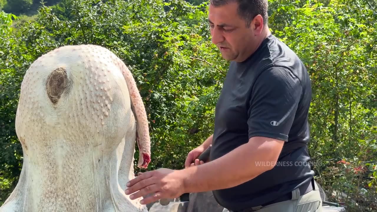 Roasting a Whole Giant Ostrich Under a Barrel! The Unique Recipe Taking the Internet by Storm