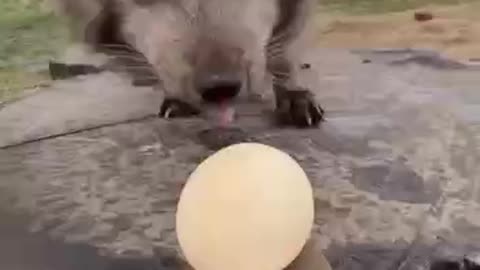 Being spoon fed