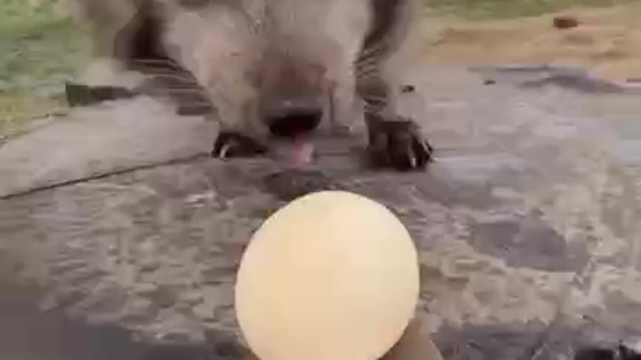 Being spoon fed