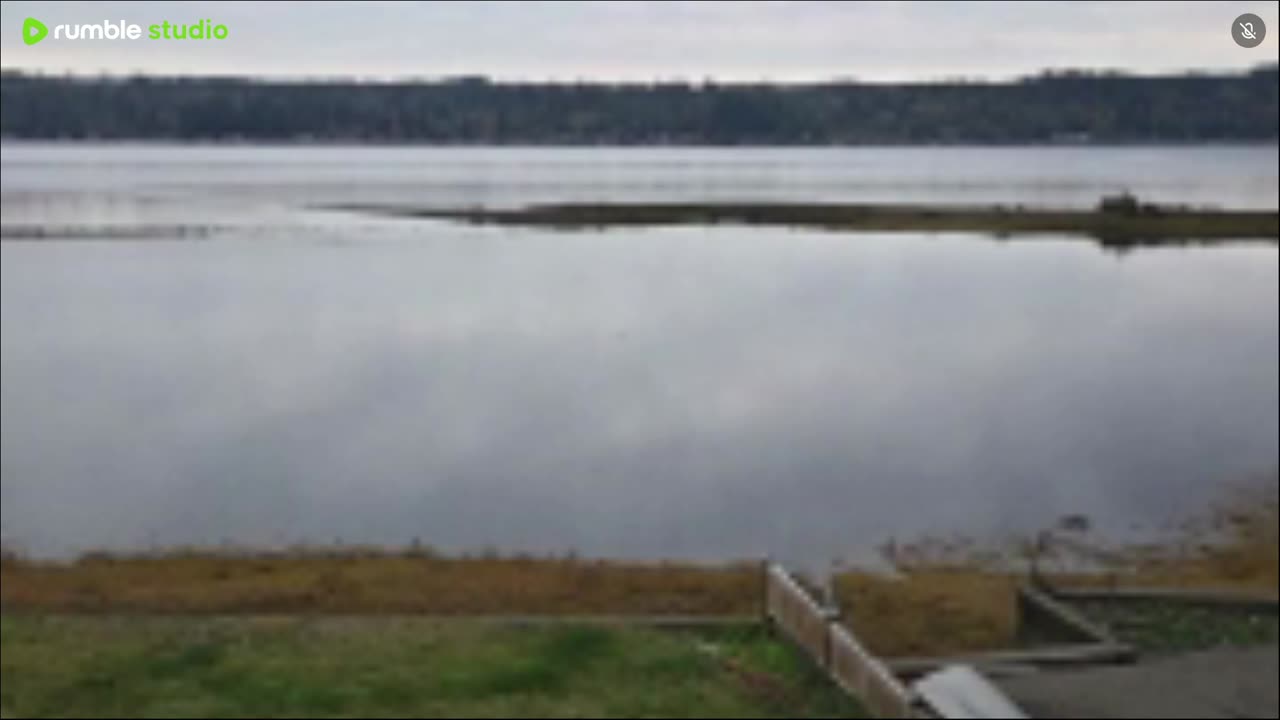 Peaceful on the water