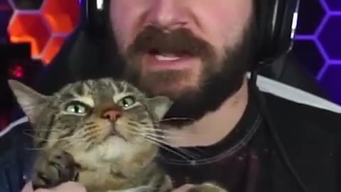 😂 Him: 'No, I don't want a cat.' 2 weeks later... | FunFM