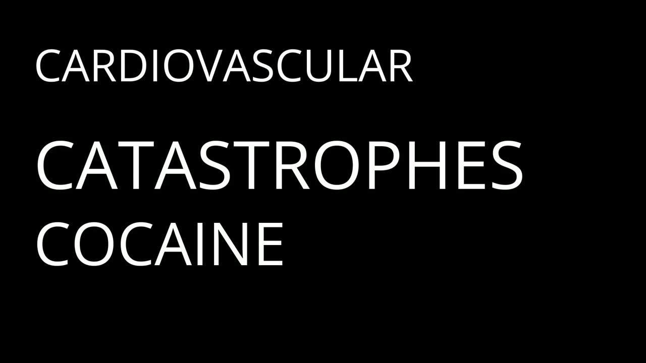 The Heart's Descent into Darkness | Edgar Allan Poe - Part 4