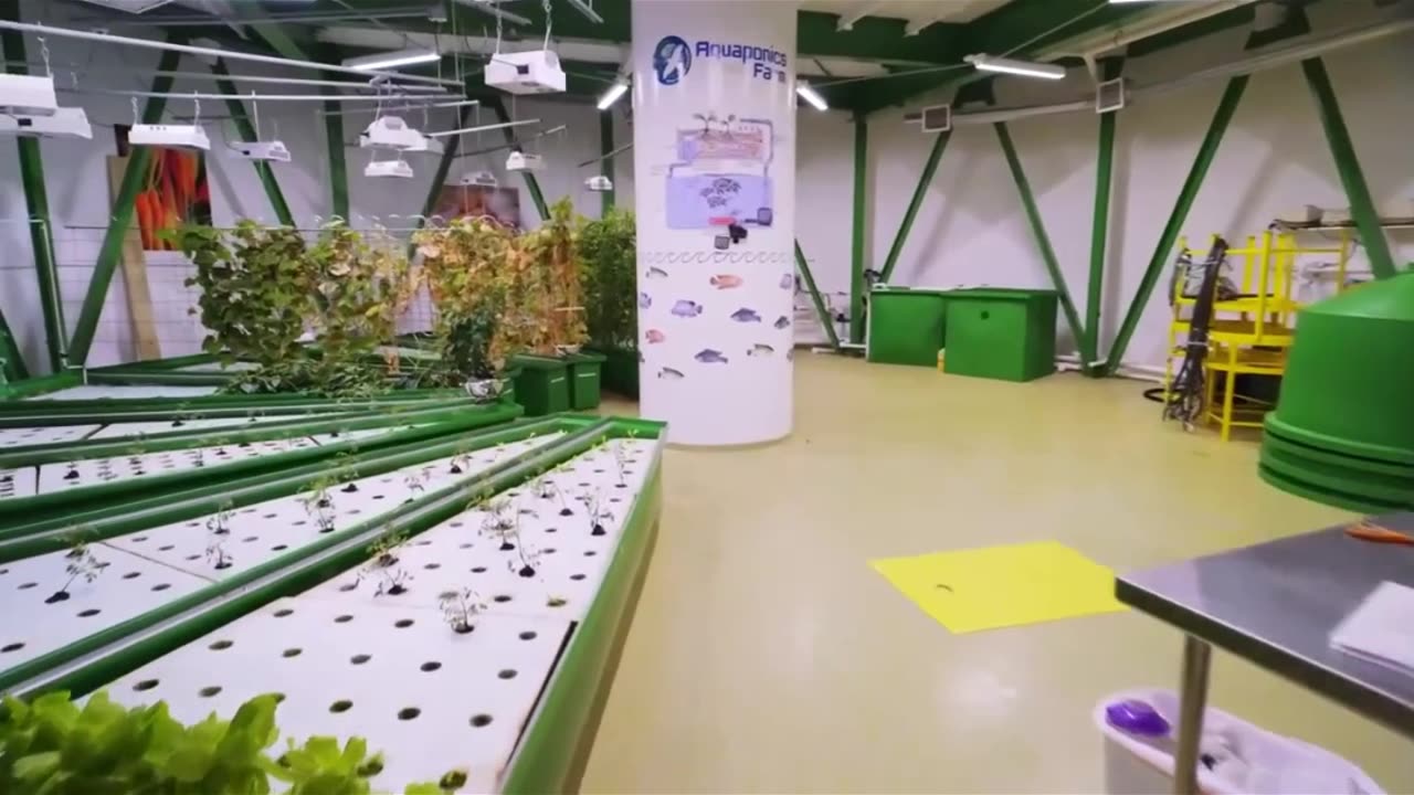 Inside a $30 Million Underground Skyscraper Bunker!